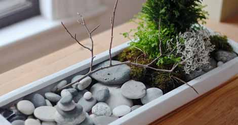 How to Create A Mini Zen Garden